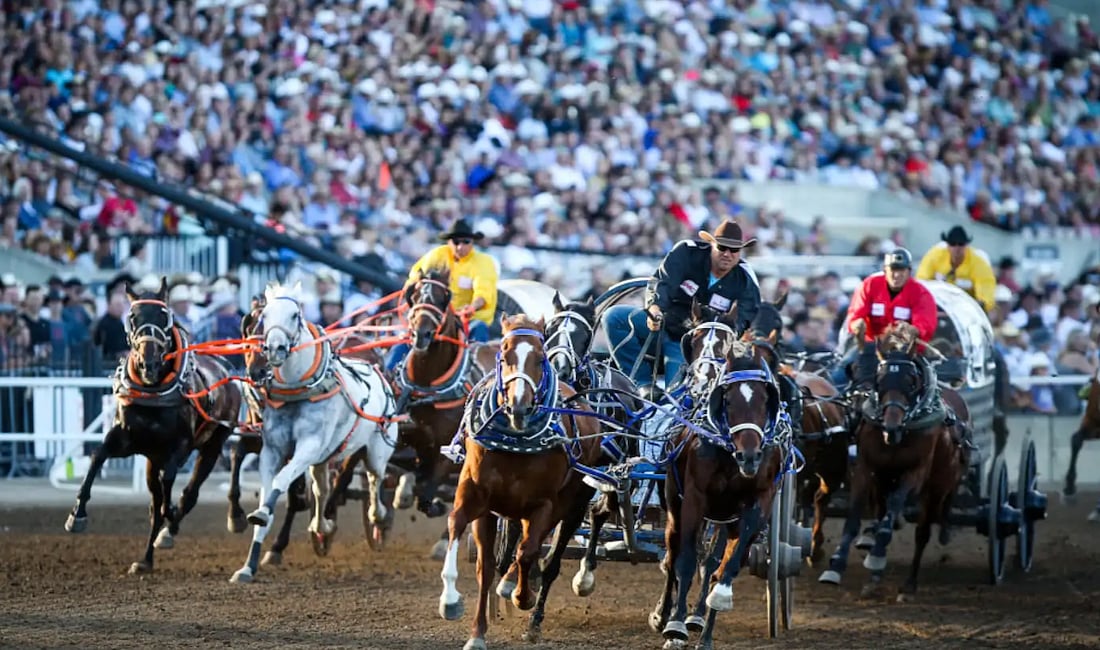 MAKICHUK Stampede revisited, the Good, the Bad and the Ugly